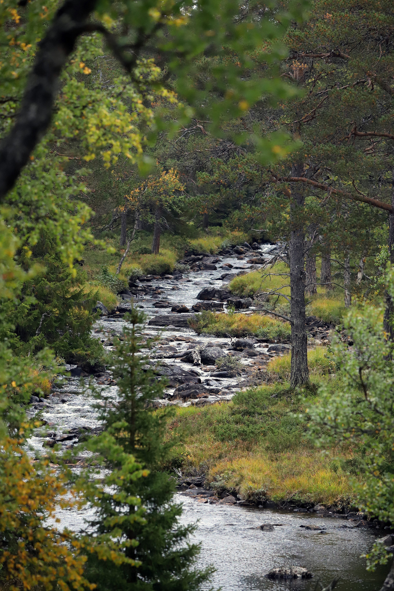 Vålådalen